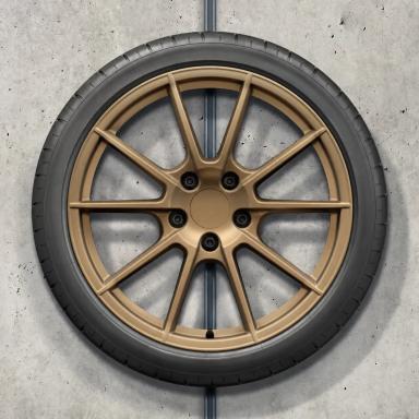 Диск Porsche 718 Sport — Aurum (satin-gloss)